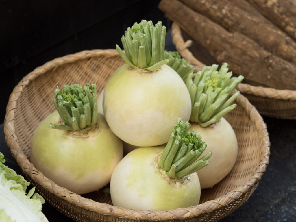 カブの旬は年2回 品種も呼び名も豊富な野菜 Repro 最先端のIHクッキングヒーターCOLUMN