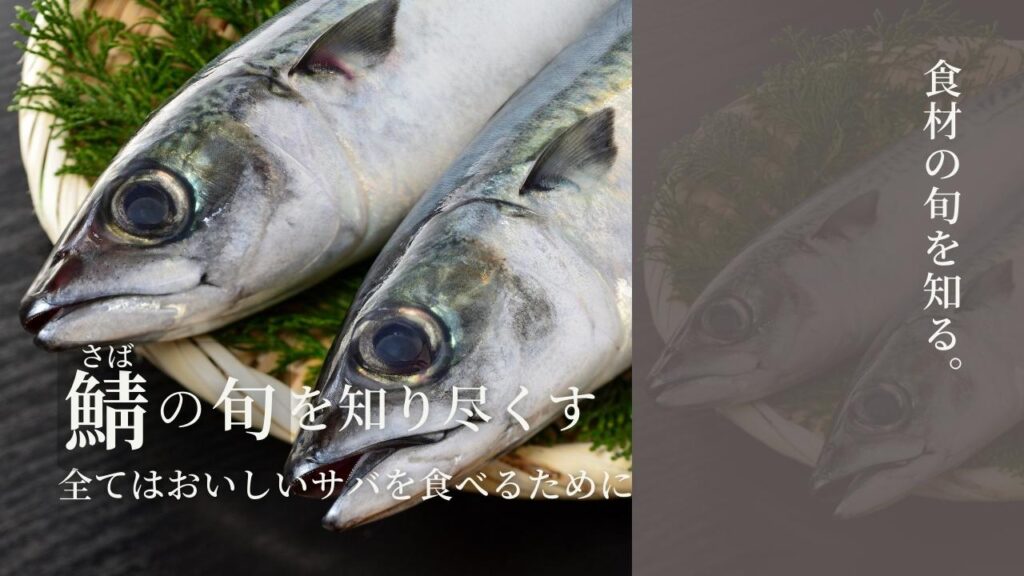 サバの旬を知り尽くす 全てはおいしいサバを食べるために – Repro | 最先端のIHクッキングヒーター:COLUMN