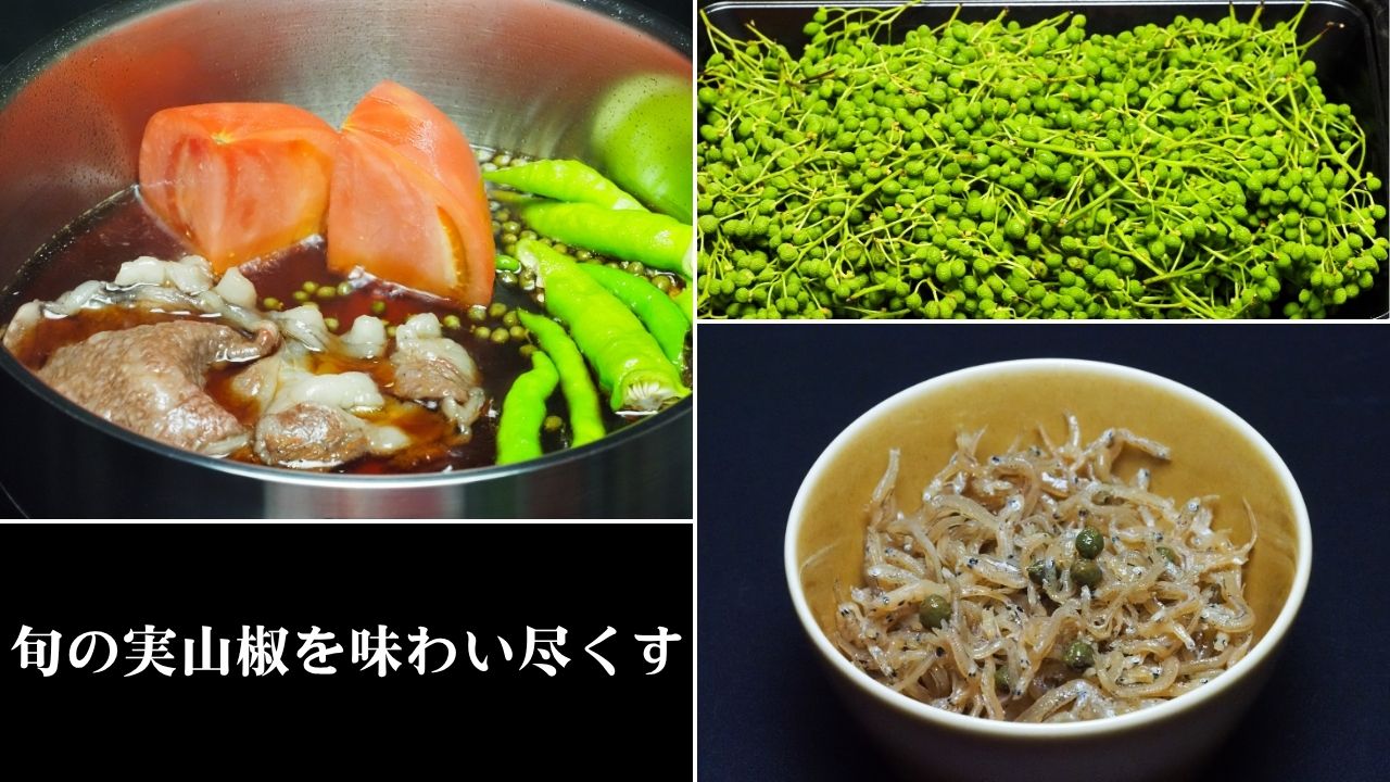 旬の実山椒を味わい尽くす