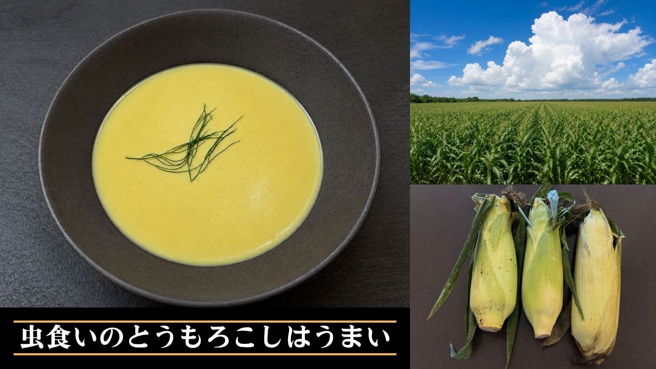 虫食いのとうもろこしはうまい