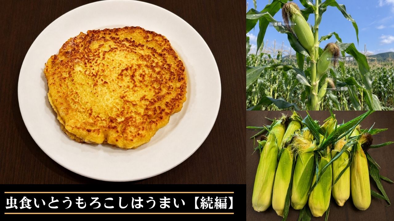 虫食いとうもろこしはうまい【続編】